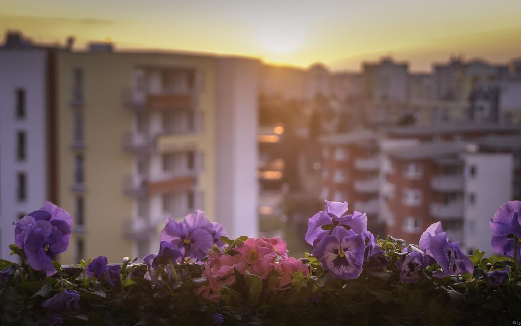 A Nice Place To Stay Apartments Πράγα Δωμάτιο φωτογραφία